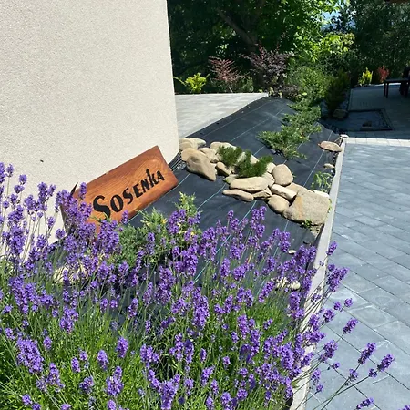 Tatil parkı Osada